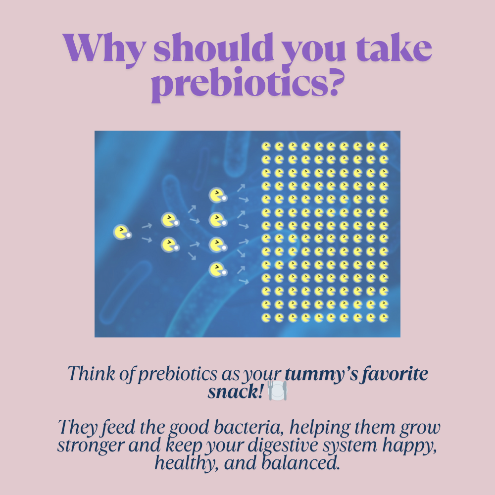 Prebiotics +